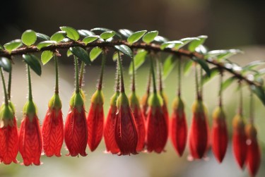 广州黄埔区3私人快速借钱网，轻松解决资金难题
