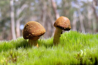 广州黄埔区3私人老板放款：轻松融资的秘密通道